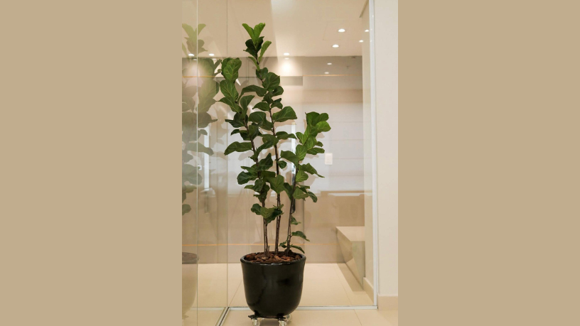 Ludicidade promove vínculos, criatividade e aprendizado — destaca Paulo Henrique Silva Maia.