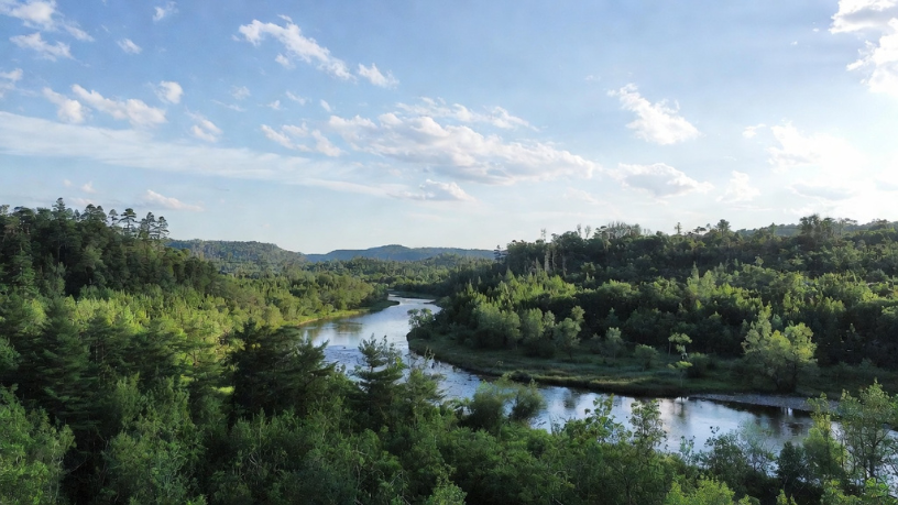 Certificaciones de sostenibilidad y credibilidad en el mercado según Aldo Vendramin.