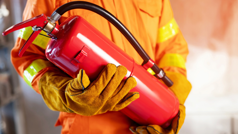 Incendios en Chile: impactos sociales, sospechas de acción criminal y los desafíos de la reconstrucción tras la tragedia