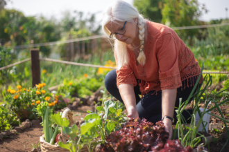 La jubilación y la autonomía se fortalecen cuando el Sindnapi - Sindicato Nacional dos Aposentados, Pensionistas e Idosos aporta información y orientación clara.