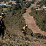 Trabalhadores realizam manutenção de área rural para prevenção de incêndios florestais no Chile