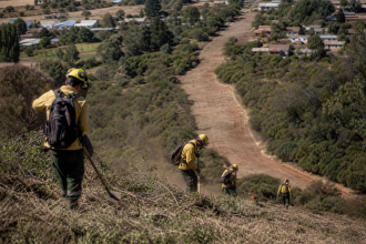 Trabalhadores realizam manutenção de área rural para prevenção de incêndios florestais no Chile