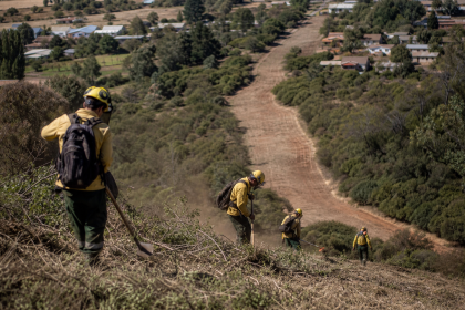 Trabalhadores realizam manutenção de área rural para prevenção de incêndios florestais no Chile